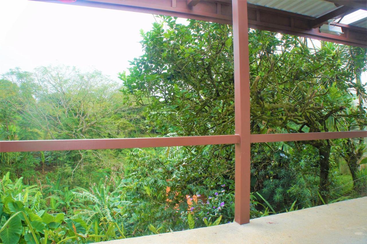 Casa Donna Rosa B&B Nuevo Arenal Buitenkant foto